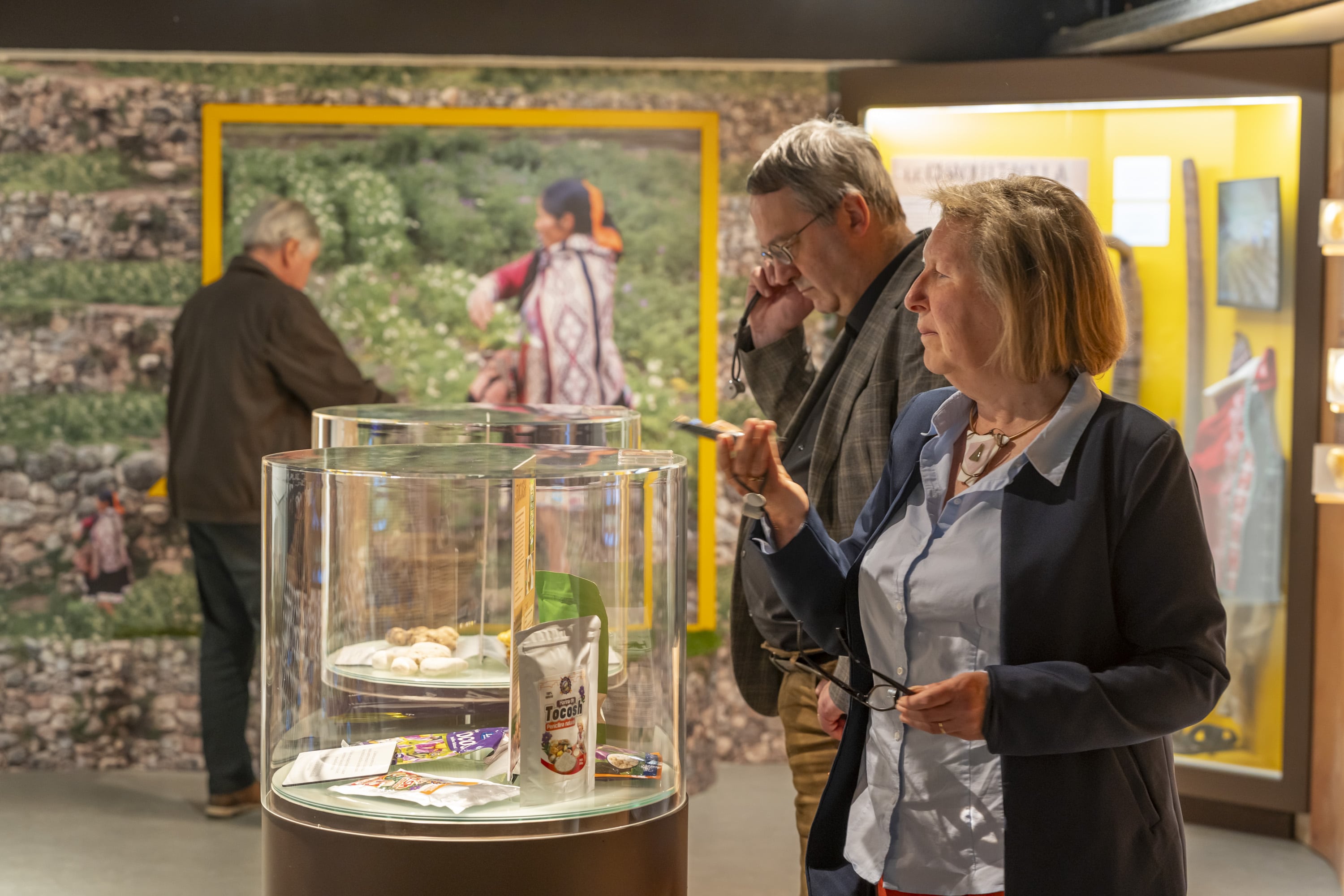 Discovering the history of the potato